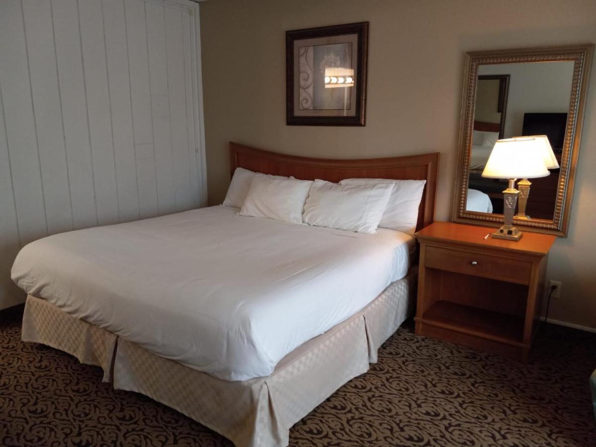 Lupine Red Lodge