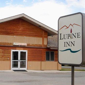 Motel Lupine