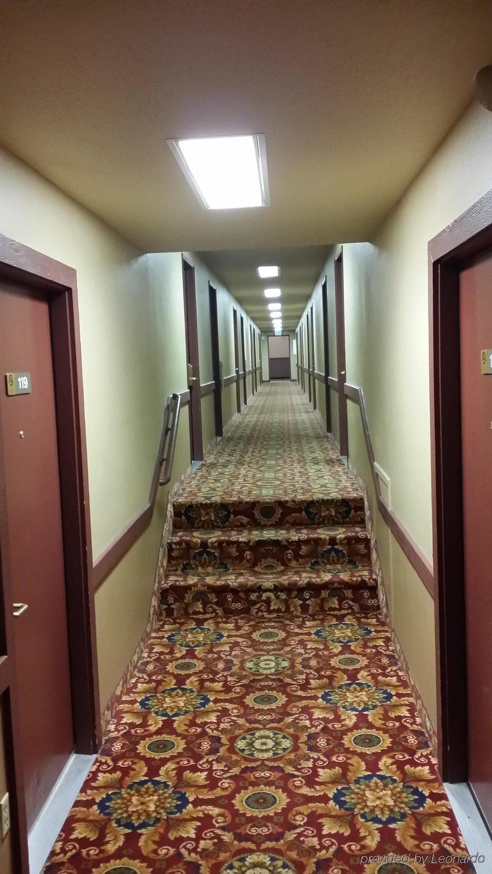 Motel Lupine