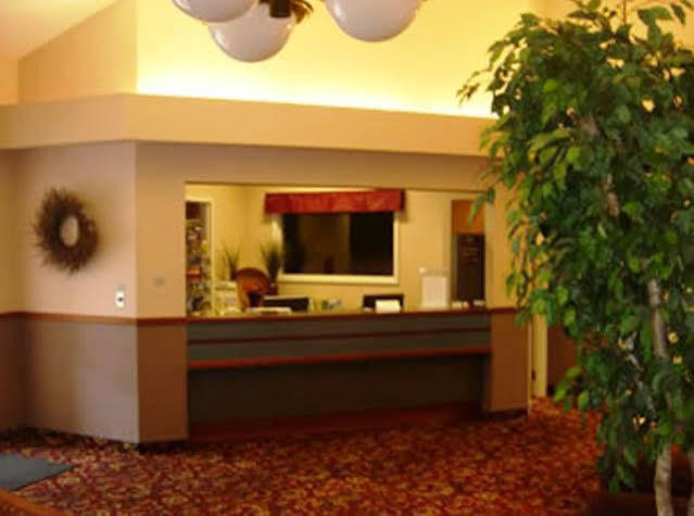 Motel Lupine